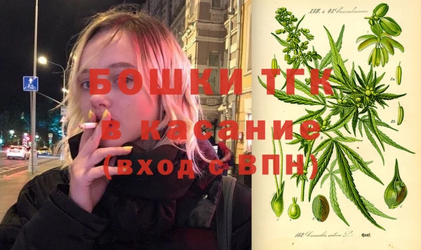 каннабис Новозыбков