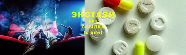 индика Новосибирск