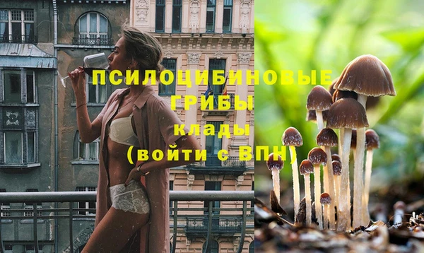 твердый Ессентукская